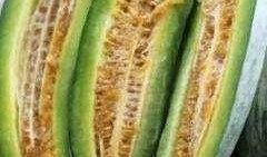 旅游全程吃酥瓜,全程尽享酥瓜美味之旅