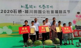 鹤岗吃瓜大赛在哪举行,一场别开生面的夏日狂欢盛宴”