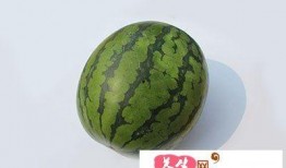 吃瓜后喝热水,一解疲劳，二驱寒意