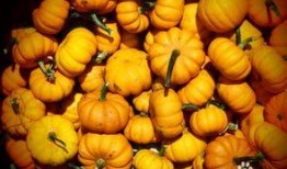 孕妇可以吃罗汉瓜么,罗汉瓜的营养与益处