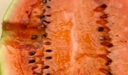 带你吃大瓜作品,带你领略“带你吃大瓜”背后的精彩故事