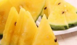 吃瓜还是拼命好