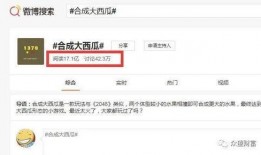 吃瓜群聊怎么盈利,揭秘如何轻松实现盈利的秘密