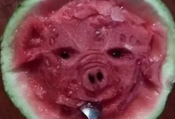 Boom艺术吃瓜,吃瓜群众的狂欢盛宴