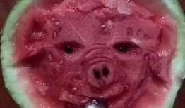 Boom艺术吃瓜,吃瓜群众的狂欢盛宴