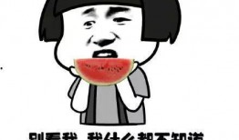 理性吃瓜别上头,揭秘网络舆论背后的真相