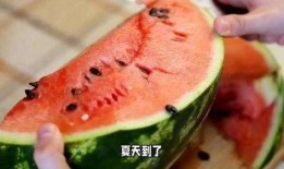 吃瓜是病,揭秘“吃瓜是病”背后的社会现象