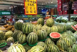 吃瓜群众店铺,一站式满足你的好奇心与美食欲望