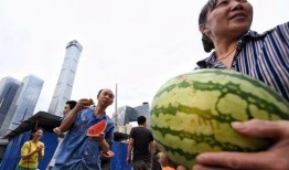 朝阳民众吃瓜视频,揭秘街头美食新风尚