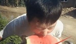 日常作死吃瓜,揭秘娱乐圈背后的疯狂故事