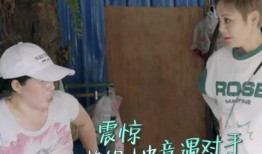 吃瓜表情包玩偶,吃瓜表情包玩偶萌动来袭