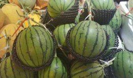 韩城吃瓜图片,趣味横生的市井生活剪影