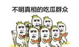 100种吃瓜群众,100种吃瓜群众的独特故事