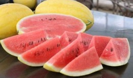 宅猪和肘子朋友圈吃瓜,揭秘娱乐圈最新瓜料