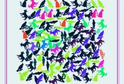 吃瓜眼力挑战,一眼识破娱乐圈真相！