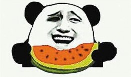 假吃瓜真吃瓜什么意思啊,网络热词背后的真实含义