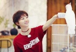 王洋吃瓜,揭秘娱乐圈幕后故事