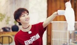 王洋吃瓜,揭秘娱乐圈幕后故事