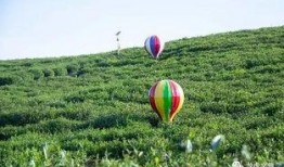 骑行吃瓜好去处,探寻城市中的清凉好去处