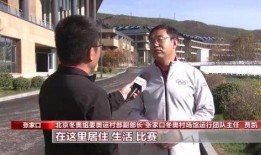冬奥村记者吃瓜,揭秘赛场背后的趣味故事