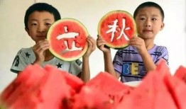 啃秋吃瓜视频,夏日消暑美食大揭秘