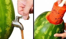 男人吃的瓜,揭秘男性瓜食文化