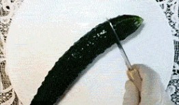 吃瓜亲亲表情包gif,趣味横生的网络潮流
