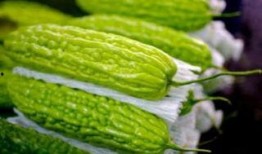 孕妇可以吃罗汉瓜么,罗汉瓜的营养与益处