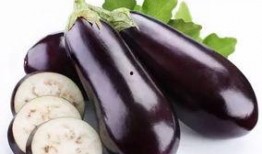 吃瓜茄子,揭秘茄子界的“网红”美食传奇