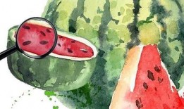 以前的我们吃瓜