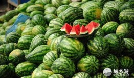 吃瓜ccgg线路三,一场别开生面的吃瓜盛宴