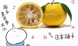 冬至快乐吃瓜吃不停,瓜果飘香，共享欢乐时光