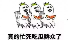 吃瓜人的素质,素质高低，瓜香各异