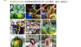 吃瓜大战背景,揭秘网络舆论场的狂欢与争议