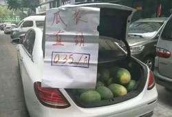 吃瓜看汽车,揭秘汽车圈的那些事儿