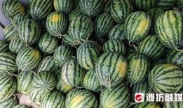 商水二高吃瓜,揭秘校园里的热点话题