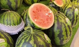 天天吃瓜最新,揭秘娱乐圈最新热点事件