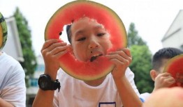 啃秋吃瓜视频,夏日消暑美食大揭秘