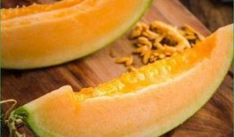 哈密瓜冷冻之后怎么吃,解冻后美味依旧的创意吃法