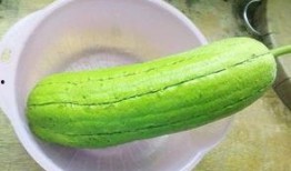 孕妇吃短水瓜,短水瓜对孕妇的影响与建议