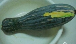 做馅吃的瓜叫什么瓜,揭秘美味馅料背后的瓜种之谜