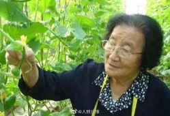 猎奇吃瓜不打烊小说,揭秘网络小说中的神秘世界