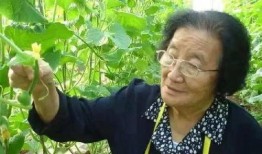 猎奇吃瓜不打烊小说,揭秘网络小说中的神秘世界
