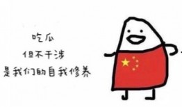 只会吃瓜的呆瓜是什么,揭秘网络流行语的趣味与内涵