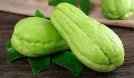 金乡最新吃瓜,最新吃瓜事件揭秘