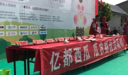 鹤岗吃瓜大赛在哪举行,一场别开生面的夏日狂欢盛宴”
