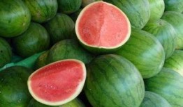 可以吃大瓜吗,揭秘“吃大瓜”背后的娱乐真相与网络文化现象