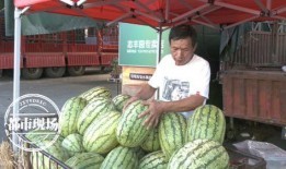 天天吃瓜最新,揭秘娱乐圈最新热点事件