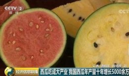 100种吃瓜群众,100种吃瓜群众的独特故事