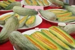 旅游全程吃酥瓜,全程尽享酥瓜美味之旅